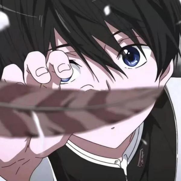 熊熊日記本｜乾淨小眾動漫頭像