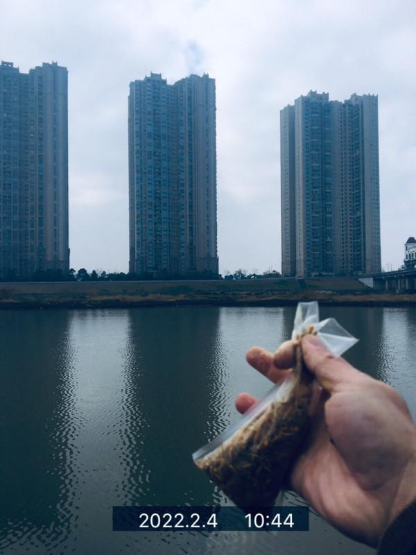 用老婆的菜籃子裝新年的第一&OpenCurlyDoubleQuote;金&rdquo;