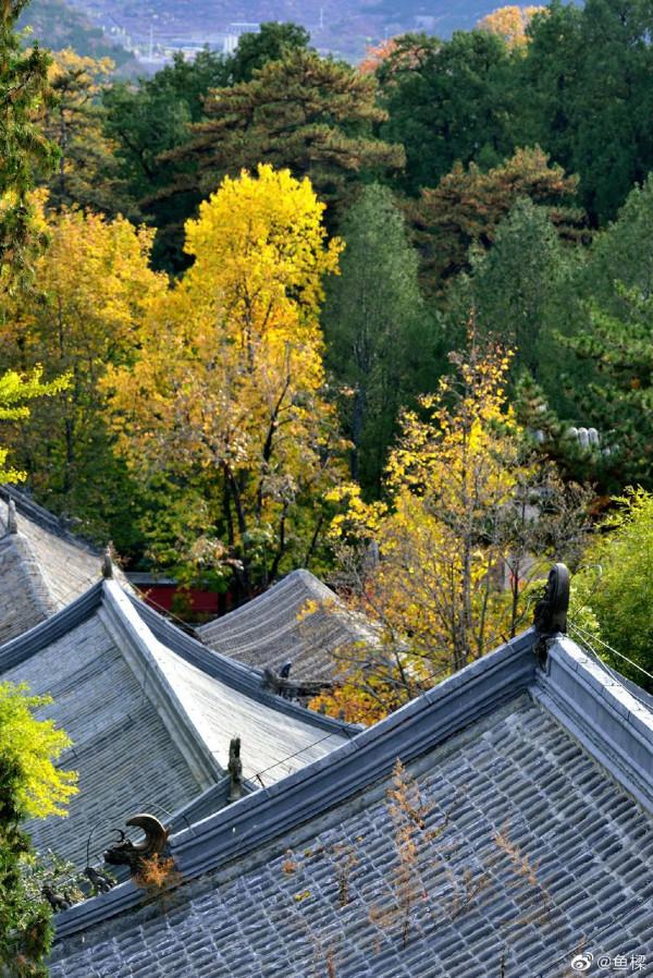 京郊藏了一條絕美國道，承包了京城最美秋色，秋意正濃，如詩如畫