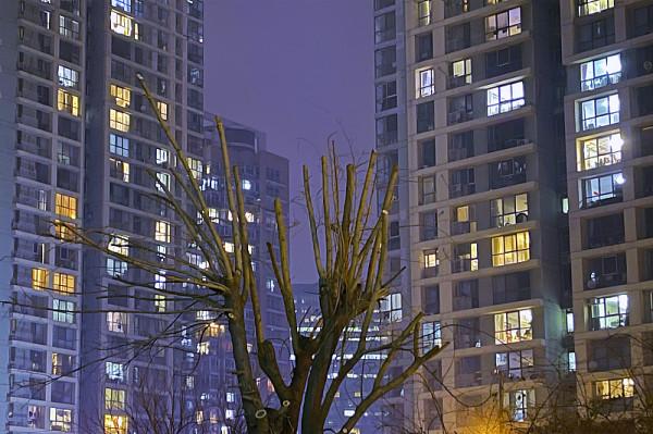 催生無果後,人口警報“拉響”?2021年“新方案”來了,父母贊同 催生無果後,人口警報“拉響”?2021年“新方案”來了,父母贊同