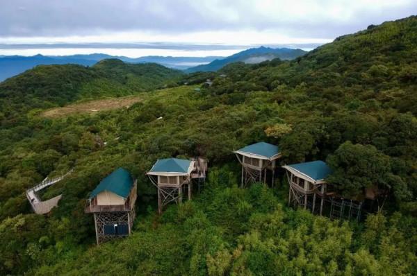 露營還未退燒，野奢開始冒尖