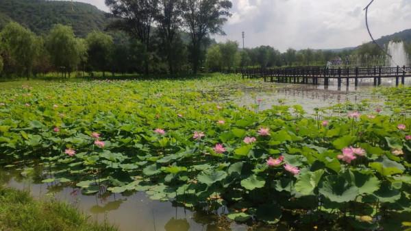 過年的時候離開了家，為債權人、為家庭、為自己