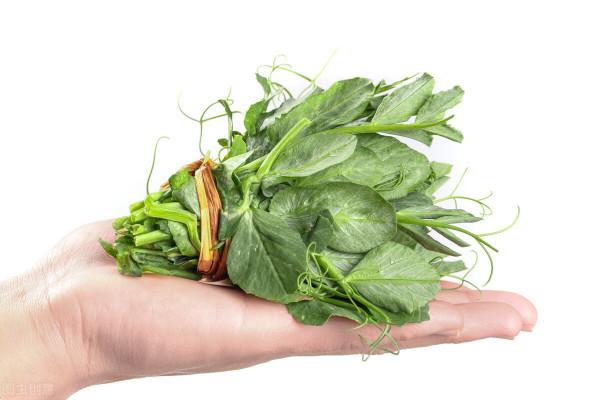 春天到了，記得常吃這些應季蔬菜，富含維生素A，順應時節而食