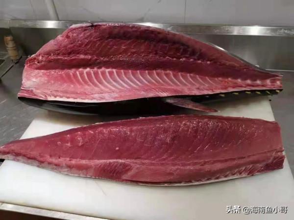 金槍魚你吃過嗎？海南魚小哥給您介紹