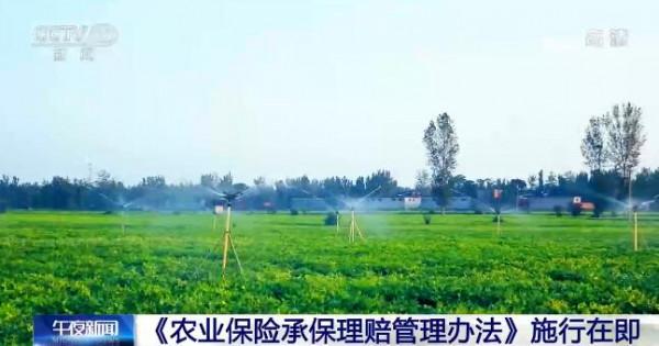 當前我國糧食安全形勢總體較好 農業發展越來越有保障