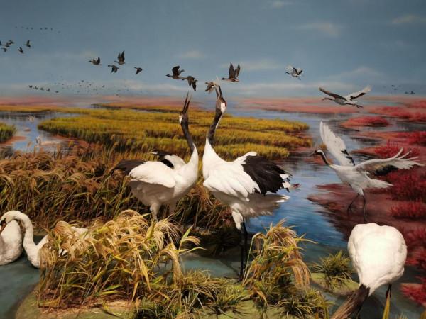 山東竟有十五個5A景區!看看你都去了多少個? 山東竟有十五個5A景區!看看你都去了多少個?