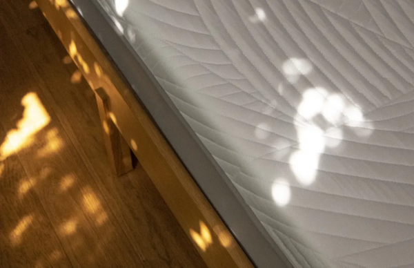 千年運河旁,4個80後閨蜜把花園搬進房子,打造閨蜜版的愛情公寓 千年運河旁,4個80後閨蜜把花園搬進房子,打造閨蜜版的愛情公寓