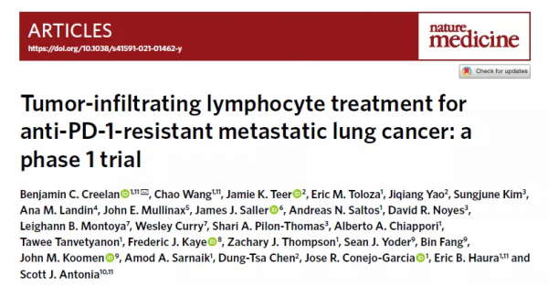 腫瘤浸潤淋巴細胞(TIL)治療:轉移性肺癌的潛在治療策略 腫瘤浸潤淋巴細胞(TIL)治療:轉移性肺癌的潛在治療策略