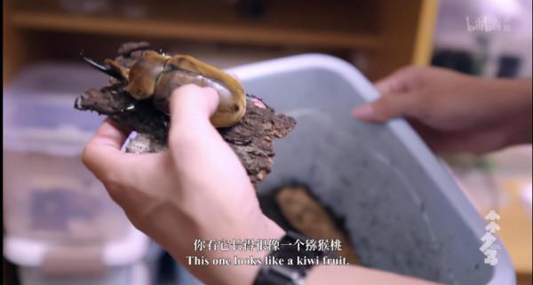 11歲男孩愛好特殊卻被父母支援：被父母尊重的孩子，活得有多爽