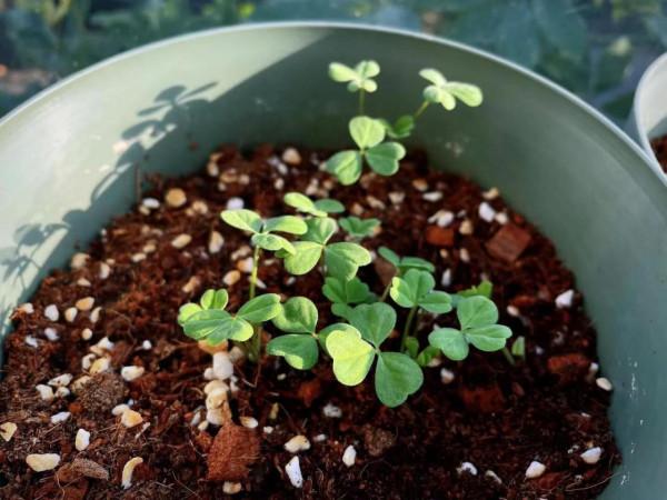 閒暇之餘，簡單，陽光，陪伴，成長......