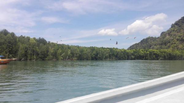 揭開面紗之蘭卡威，遙望天空之橋，探訪神秘島嶼與紅鷹的一場約會