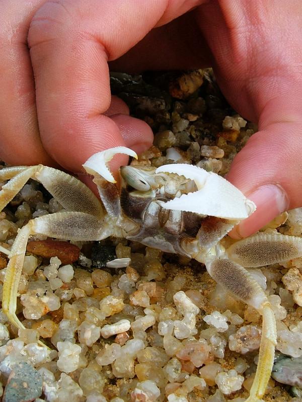 福建古雷：在無人的孤島上露營