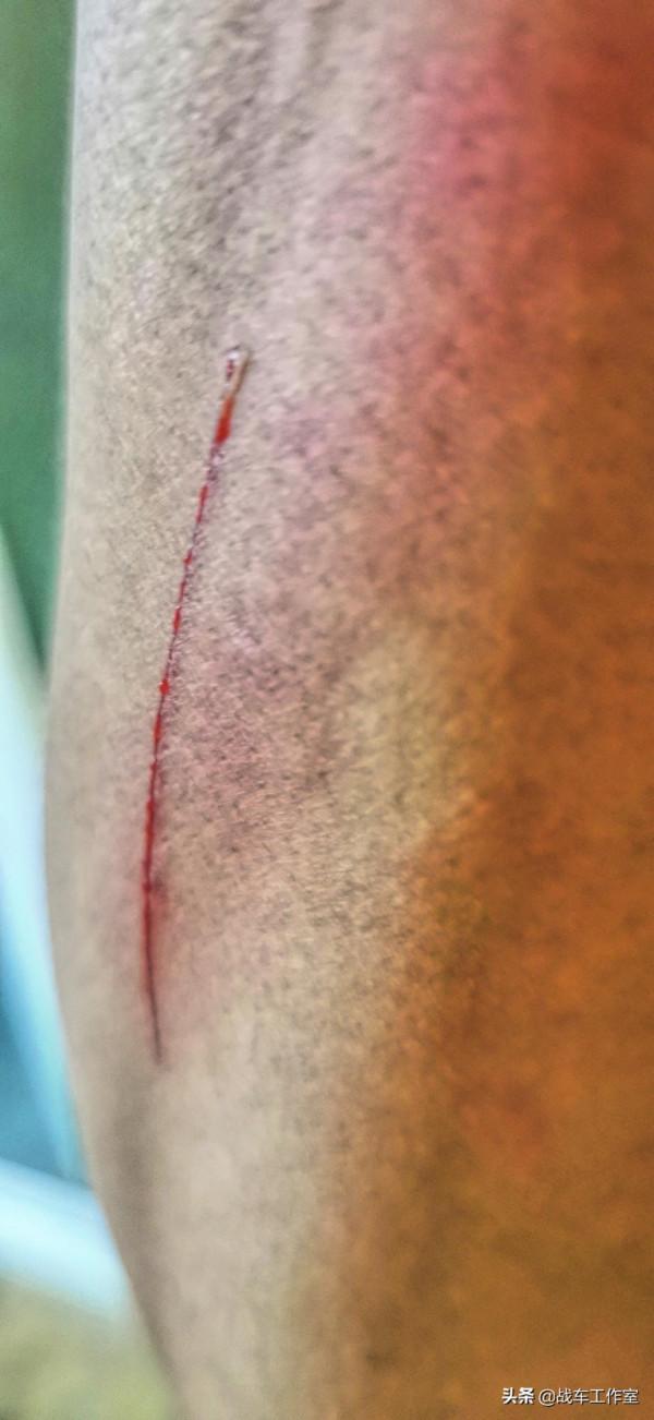 幼獅800的愛怨情仇(二) 幼獅800的愛怨情仇(二)