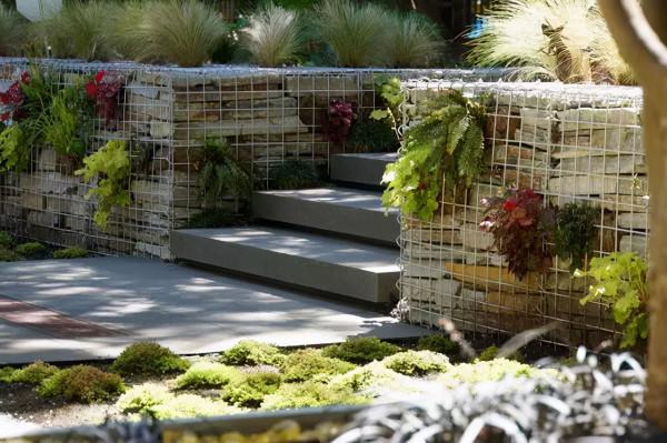 石頭縫裡這樣玩，它也可以成為庭院裡一道亮麗的景緻