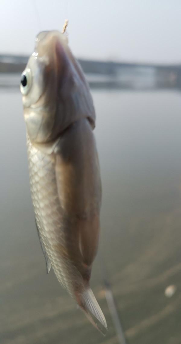 惡劣天氣也阻擋不了釣魚人的腳步，餵魚時刻準備著……