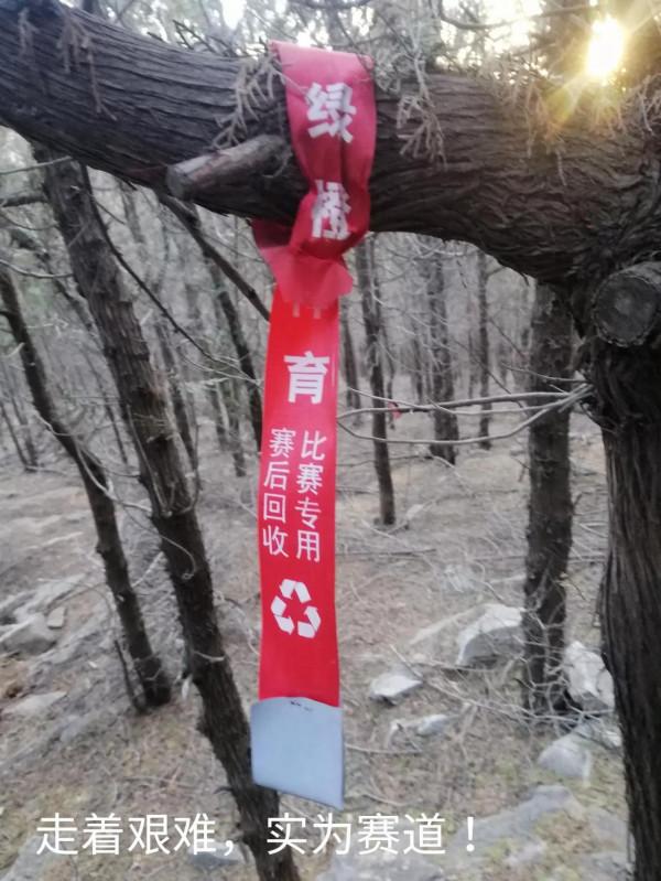 &dollar;&period;006&period;頂遊五峰山