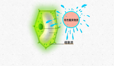 食物部分壞了還能吃嗎？關鍵得區分這幾種情況