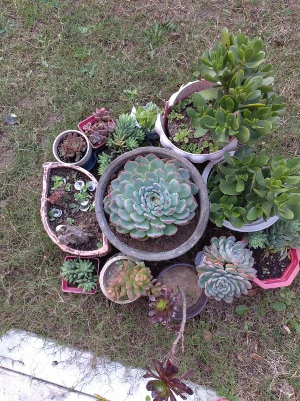 小煩惱小焦慮還有小悲傷 小煩惱小焦慮還有小悲傷