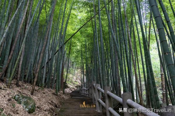 安吉絕美徒步道在這裡