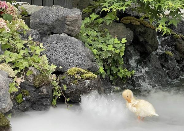 “鬼才之眼”王昱珩一戰成名三戰封神,助警察成功破案,如今咋樣 “鬼才之眼”王昱珩一戰成名三戰封神,助警察成功破案,如今咋樣