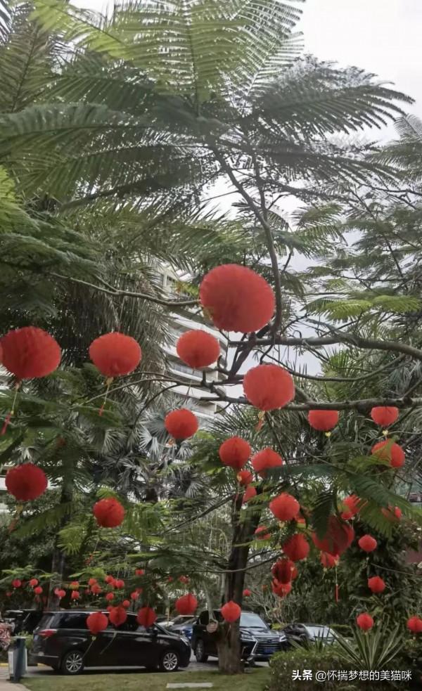 祖國風光無限好