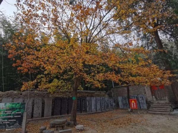 徒步白雲寺渡槽一一絕壁大梯一一上白雲一一白雲寺 徒步白雲寺渡槽一一絕壁大梯一一上白雲一一白雲寺