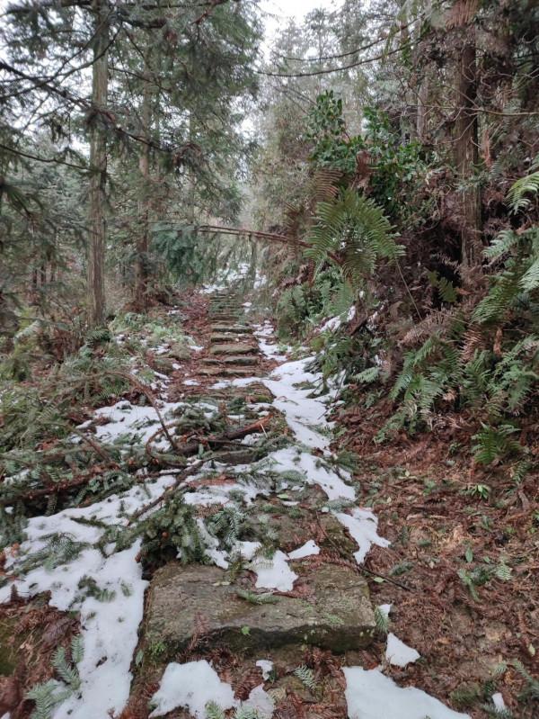 登望雲山有感