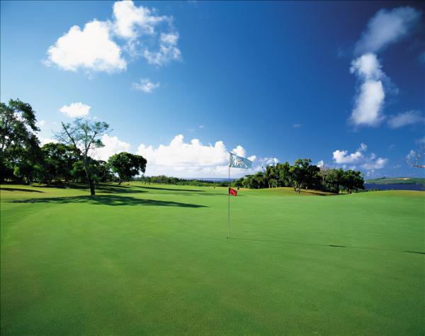 來自球友的高爾夫乾貨分享，如何選擇適合自己的高爾夫入門方式？