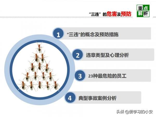 舉一反三！反三違警示危害及預防安全教育培訓警示重析篇