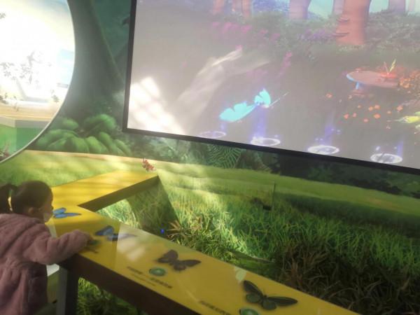 深秋的蝴蝶 深秋的蝴蝶