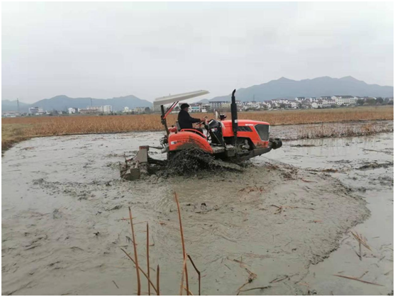 青陽縣廟前鎮雙橋村：正月裡來租田忙 虎年開啟新篇章
