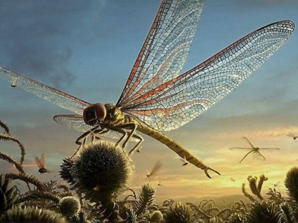 3億年前，恐龍和人類都沒有誕生，當時的地球是什麼樣子？