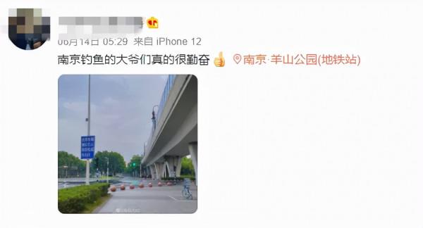 南京的釣魚伯伯，估計連鯨魚也能釣上來