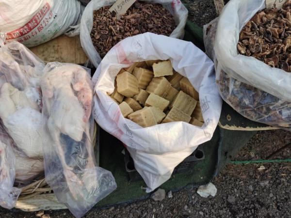 東北大集都有點啥，快跟我一起逛逛