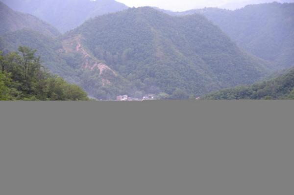 野豬賴上舊屋跟村民做鄰居，山裡人略施計謀，兇猛野豬變溫順家畜