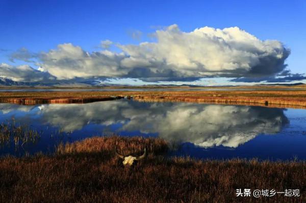 如果有機會,你想去以下哪一個地方去浪? 如果有機會,你想去以下哪一個地方去浪?