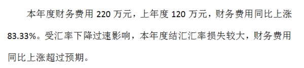 年度財務資料分析報告（完整版）