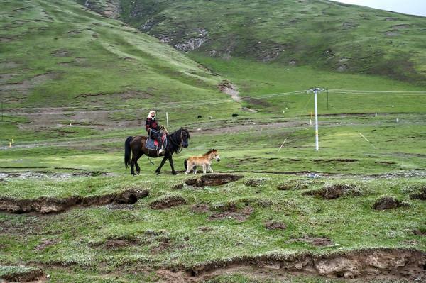 標緻4008環青海長測Day9：鳥島叫“蚊子島”，沿青海沿線達剛察！
