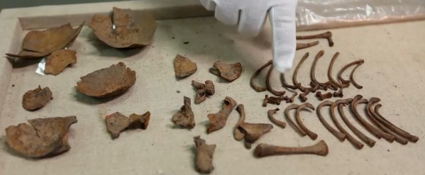 2003年王羲之故居挖出古墓，發現三具幼女屍骨，揭開一段皇家秘史