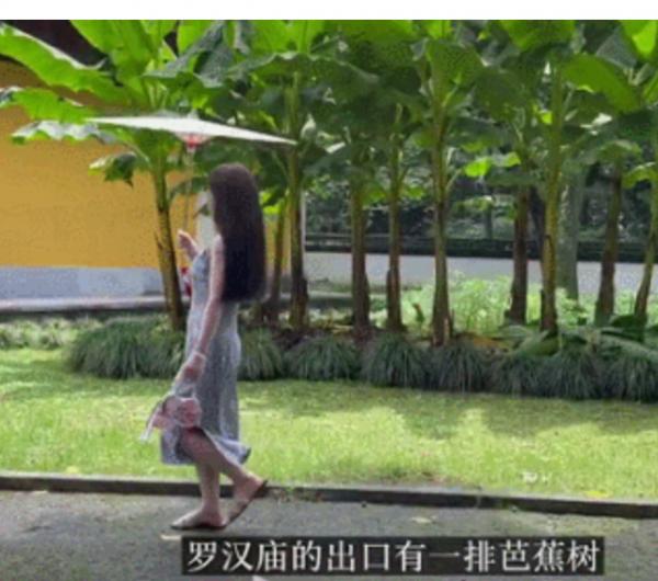 一邊向佛，一邊直播割韭菜，被央視怒批後，“佛媛”將徹底涼涼