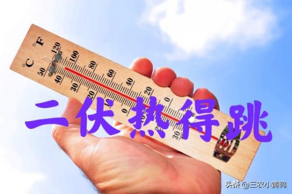 天氣預報：今日進二九，晴好太陽天有啥說法？老祖宗的農諺能預兆