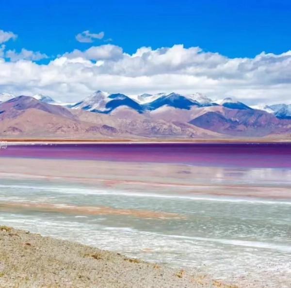 西藏唯一粉色鹽湖，人少景美免門票！比青海茶卡還大兩倍