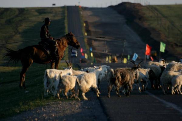 長途自駕，安全不容忽視