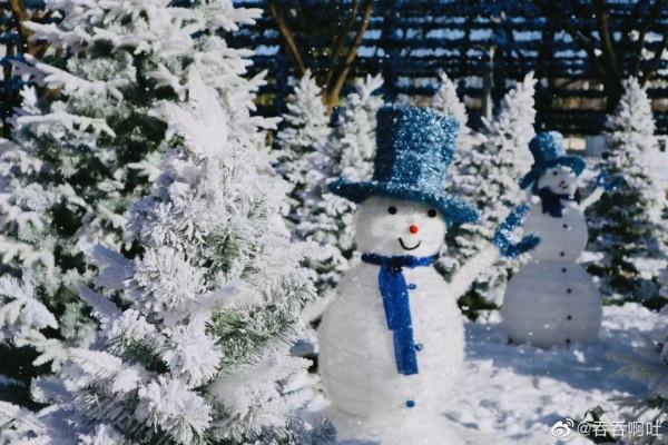 元旦去哪玩？賞花燈、看錶演、戲冰雪……