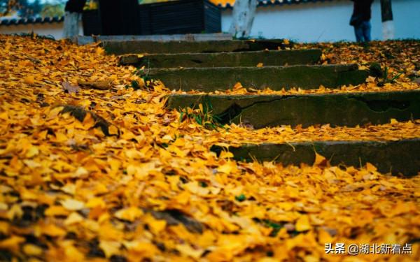 秋天最美的7大城市