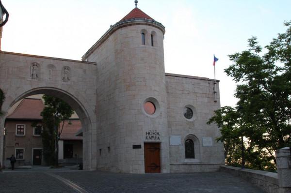 帶你走進匈牙利的古城維斯普雷姆(Veszprem) 帶你走進匈牙利的古城維斯普雷姆(Veszprem)