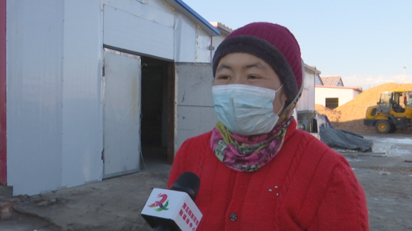 大棚種植，把美好願景“種”出來～