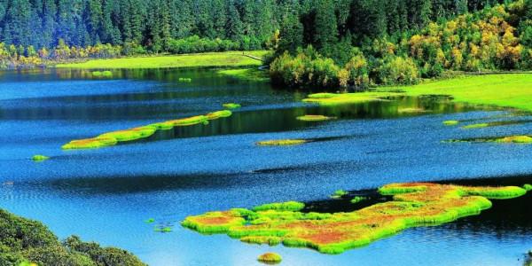 為什麼要去香格里拉