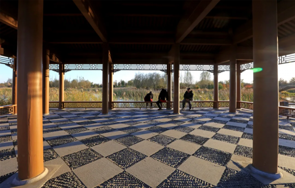 秋染副中心① | 漫步賞秋，張家灣公園內，秋色也能勝春朝！