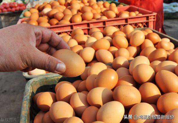 雞蛋：跌價清庫，低價促銷